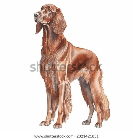 IRISH SETTER watercolor portrait painting illustrated dog puppy isolated on transparent white background