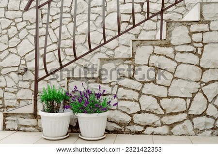 Dry white stone wall with lavender and rosemary in the pot