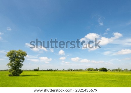 panorama blue sky background with small clouds. White clouds move in the sky in the sunshine. Amazing. Royalty-Free Stock Photo #2321435679