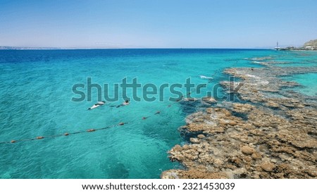 Underwater corals along empty beach on popular resort of Eilat on Red Sea in Israel. Royalty-Free Stock Photo #2321453039