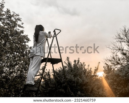 a teenage girl on ladder in trees taking photo of sunset