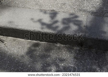 Leaves on tree branch dark shadow on grey stairs into sun light