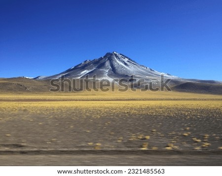 

Photo taken in Atacama in Chile. A magical desert where the colors of the blue sky without clouds, the arid and low vegetation enchant all tourists. In the background you can see the volcano.