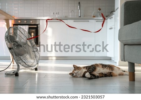 Summer heat and pet at home. Overheated cat lying on the floor, escapes from heat with help of fan, sadly looking on red ribbon on wind. Stuffiness in apartment without air conditioning.  Royalty-Free Stock Photo #2321503057