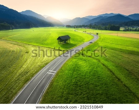 Aerial view of road in green meadows at sunset in summer. Top drone view of rural road, alpine mountains. Colorful landscape with curved highway, hills, fields, green grass, orange sky. Slovenia Royalty-Free Stock Photo #2321510849