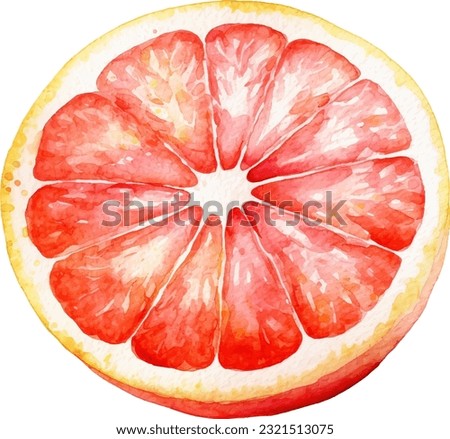Watercolor Grapefruit Illustration. Hand-drawn fresh food design element isolated on a white background. Royalty-Free Stock Photo #2321513075
