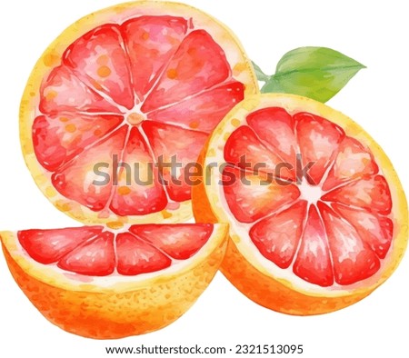 Watercolor Grapefruit Illustration. Hand-drawn fresh food design element isolated on a white background. Royalty-Free Stock Photo #2321513095