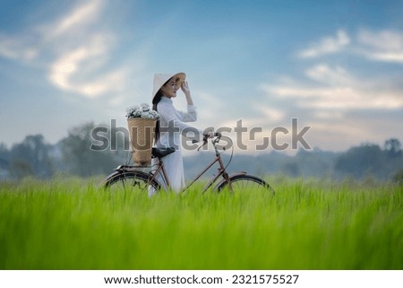 Beautiful Vietnamese woman wearing traditional dress with  bicycle and flower basket walk pass rice field on sunrise time ,lifestyle of farmer in Vietnam with sugar palm tree background. Royalty-Free Stock Photo #2321575527
