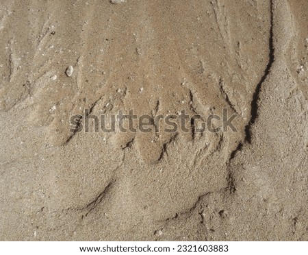 Wet Sand at a Beach