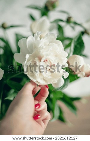 Fresh white fragrant peonies on the background of a home interior
