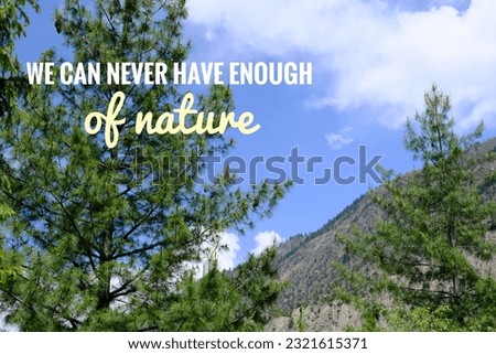Inspirational success quotes on the mountain background. 