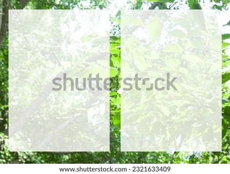 It is a frame that creates a translucent margin space on the landscape of the forest.
It is an A3 size image suitable for use as a design editing background.