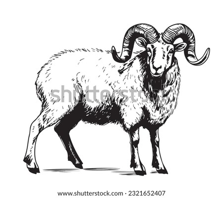 Ram sheep with horn sketch hand drawn in doodle style illustration Royalty-Free Stock Photo #2321652407
