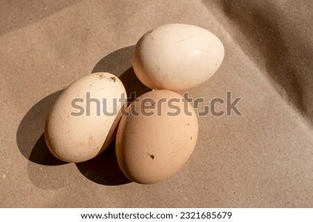 Dirty eggs on a cartoon paper. Organic eggs.