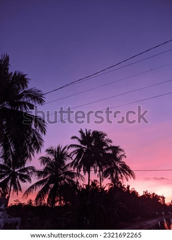 silhouette of coconut trees with beautiful clouds 