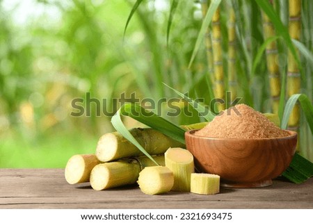 Brown sugar with fresh sugar cane on wooden table with sugar cane plantation farming background. Royalty-Free Stock Photo #2321693475