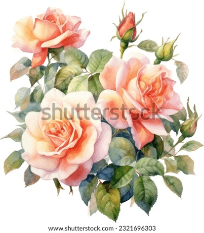 Drift Roses ,Watercolor illustration. Hand drawn underwater element design. Artistic vector marine design element. Illustration for greeting cards, printing and other design projects.