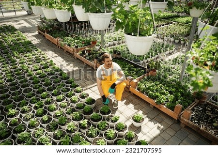 Top view. Florist man working in garden center. Successful employee is in a bright greenhouse.