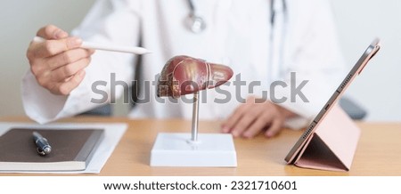 Doctor with human Liver model and tablet. Liver cancer and Tumor, Jaundice, Viral Hepatitis A, B, C, D, E, Cirrhosis, Failure, Enlarged, Hepatic Encephalopathy, Ascites Fluid in Belly and health Royalty-Free Stock Photo #2321710601