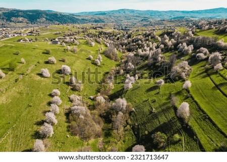 Spring Slovakia landscape. Nature fields with blooming cherries. Unique ecological land management. Polana region, Hrinova, Slovakia Europe.