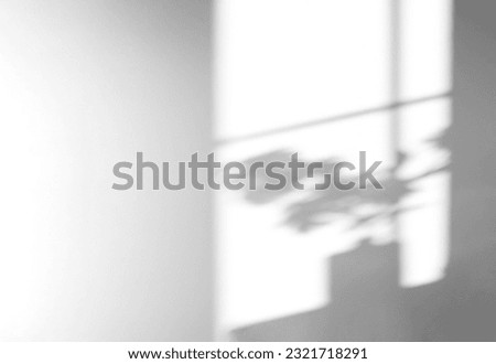 Shadow Flower and leaves silhouette overlay on white cement wall in bed room,Natural sunlight shining through window on concrete texture surface background.Backdrop for product presentation 