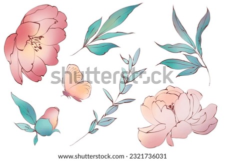 Hand drawn summer floral botanical elements. Green leaves and branches, pink peony flowers and butterfly
