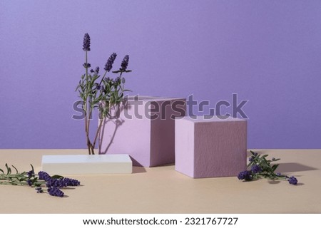 Minimal empty display product presentation scene with cylinder podiums and bunches of blooming lavender decorated on a purple background. The scent of lavender can improve sleep quality Royalty-Free Stock Photo #2321767727
