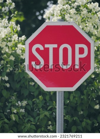 A closeup shot of a Stop traffic sign and bushes covered with white flowers in the background