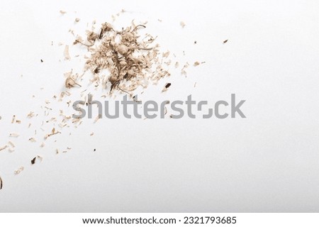 Scattered flower pieces isolated on white background