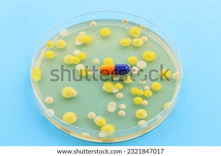 A Petri dish with colonies of various species of bacteria in which there is a pill or antibiotic. Resistance of germs to medicines. Royalty-Free Stock Photo #2321847017