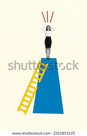 Photo collage picture of impressed shocked lady having working problem broken ladder isolated graphical background
