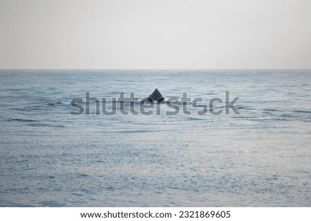 A picture of a fishing boat in the middle of the ocean