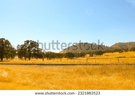 Beautiful small mountains in sunny California, landscape
