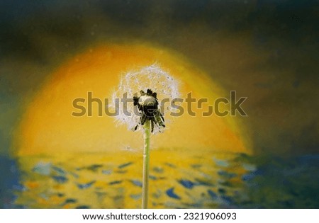 one white dandelion with seeds on a bright abstract background with dew drops, natural background with copy space