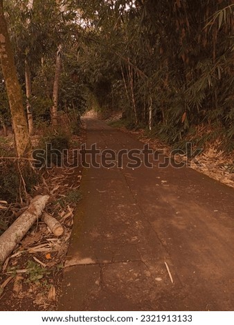 Lush village road background with bamboo trees in Magelang, Central Java, Indonesia
