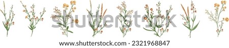Flowers. Botanical blossom floral elements. Big set small hand drawing branches, leaves, herbs, wildflowers. Garden, meadow, field collection. Bloom bouquets vector illustration isolated on white  Royalty-Free Stock Photo #2321968847