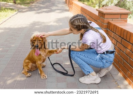Beautiful young woman walking dog in park at sunset