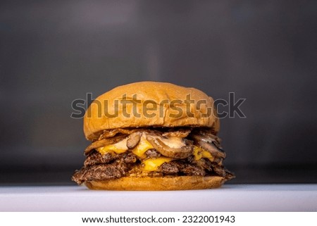 A very nice burger portrait picture