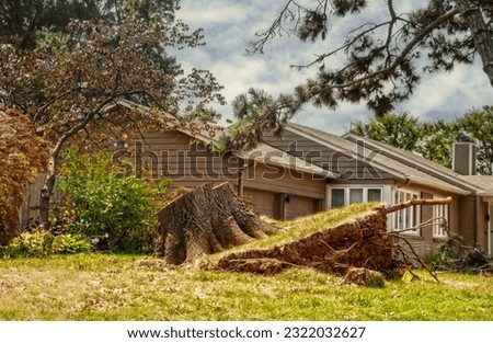 Uprooted large tree sawed off to stump but tilting out of residential yard by brick house after supercell even Royalty-Free Stock Photo #2322032627