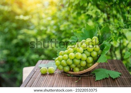 Shine Muscat Grape with leaves in blur background, Green grape in Bamboo basket on wooden table in garden. Royalty-Free Stock Photo #2322053375