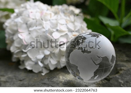glass globe(Africa and Europe) and white flowers
