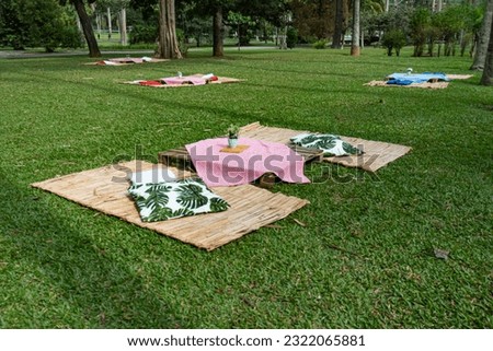 picnic day in the park