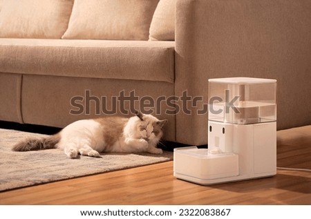 Pet cat is using pet water dispenser, image of drinking water, closeup, indoor shot, sofa and wooden floor Royalty-Free Stock Photo #2322083867