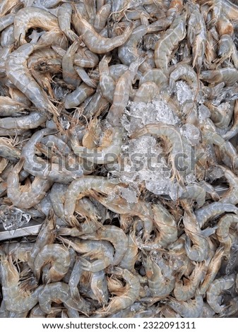 Frozen fresh sea prawns.
full picture of shrimp.