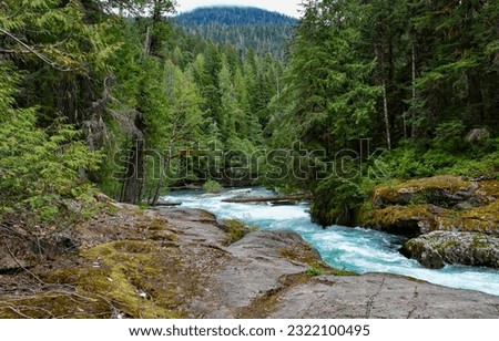 . Mountain forest river. View of a fast mountain river in the forest. Mountain river in forest. Forest river in mountains Royalty-Free Stock Photo #2322100495