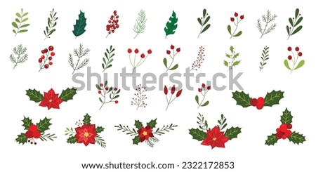 Set of Christmas floral ornament