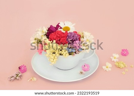 Surreal summer flower and wildflower teacup composition on pink background with scattered flowers. Abstract fun health food floral nature surrealism design. Royalty-Free Stock Photo #2322193519