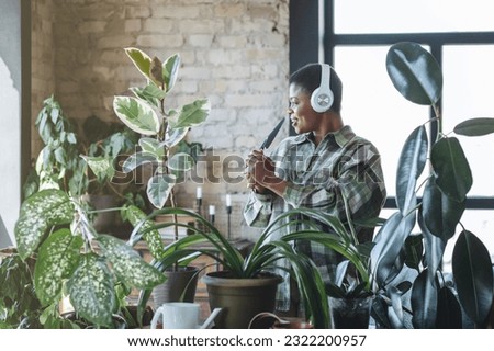 Attractive plus size African American young woman taking care about home plants. Enjoying household activity, singing, dance. Morning routine and mediation, mental health concept. Cozy green interior 