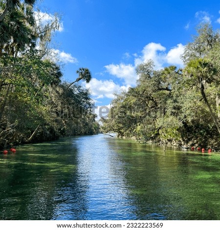 The springs at Blue Springs State Park  in Orange City, Florida.