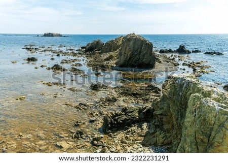 Sea landscape with protruding rocks                               